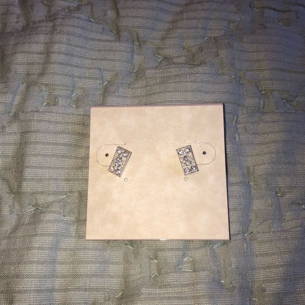 NWT Earrings